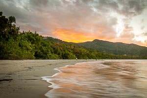 Picture of Cape Tribulation, Far North Queensland, Queensland, Australia