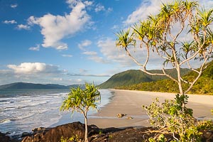 Picture of Cape Tribulation, Far North Queensland, Queensland, Australia