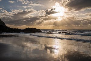 Picture of Cape Tribulation, Far North Queensland, Queensland, Australia