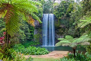 Picture of Atherton Tablelands, Far North Queensland, Queensland, Australia