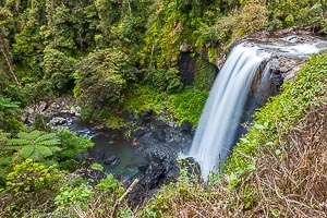 Picture of Atherton Tablelands, Far North Queensland, Queensland, Australia