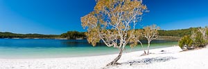 Picture of Kgari Fraser Island National Park, Wide Bay–Burnett, Queensland, Australia