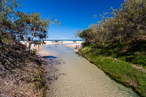Picture of Kgari Fraser Island National Park, Wide Bay–Burnett, Queensland, Australia