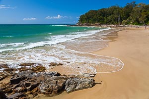 Picture of Noosa National Park, South East Queensland, Queensland, Australia