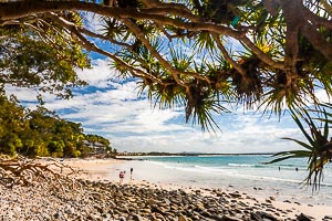 Picture of Noosa National Park, South East Queensland, Queensland, Australia