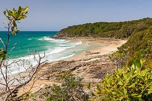 Picture of Noosa National Park, South East Queensland, Queensland, Australia
