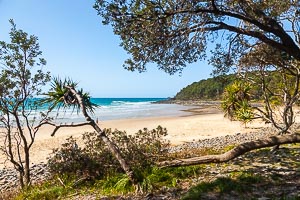 Picture of Noosa National Park, South East Queensland, Queensland, Australia