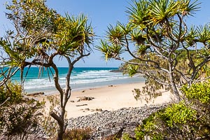 Picture of Noosa National Park, South East Queensland, Queensland, Australia