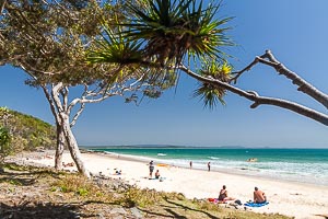 Picture of Noosa National Park, South East Queensland, Queensland, Australia