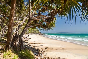 Picture of Noosa National Park, South East Queensland, Queensland, Australia
