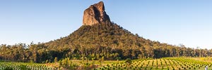 Picture of Glass House Mountains National Park, South East Queensland, Queensland, Australia