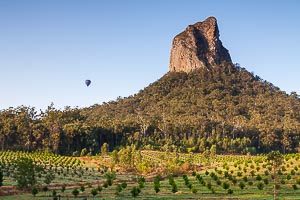 Picture of Glass House Mountains National Park, South East Queensland, Queensland, Australia