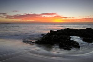 Picture of Long Reef, Northern Beaches, New South Wales, Australia