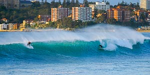 Picture of Manly, Northern Beaches, New South Wales, Australia