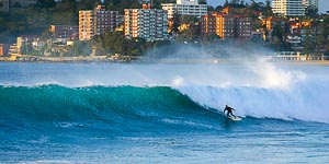 Picture of Manly, Northern Beaches, New South Wales, Australia