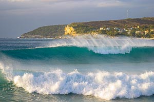 Picture of Manly, Northern Beaches, New South Wales, Australia