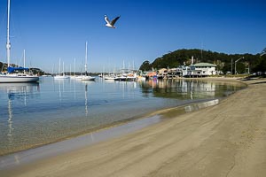 Picture of The Spit, Northern Beaches, New South Wales, Australia