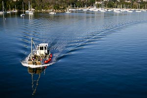 Picture of The Spit, Northern Beaches, New South Wales, Australia
