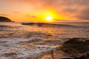 Picture of Wamberal, Central Coast, New South Wales, Australia