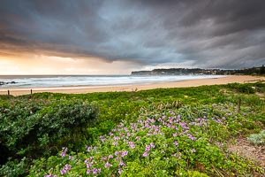 Picture of North Avoca, Central Coast, New South Wales, Australia