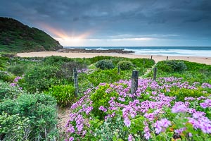 Picture of North Avoca, Central Coast, New South Wales, Australia