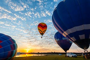Picture of Hunter Valley, The Hunter, New South Wales, Australia