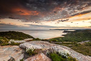 Picture of Bouddi National Park, Central Coast, New South Wales, Australia