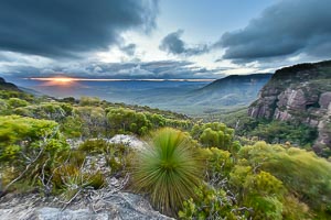Picture of Narrow Neck, Blue Mountains National Park, New South Wales, Australia