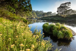Picture of Kosciuszko National Park, Snowy Mountains, New South Wales, Australia