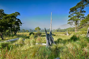 Picture of Kosciuszko National Park, Snowy Mountains, New South Wales, Australia