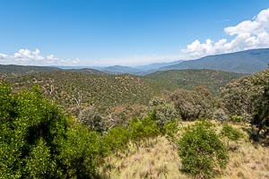 Picture of Snowy River National Park, The High Country, Victoria, Australia