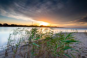Picture of Marlo, Gippsland, Victoria, Australia