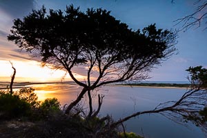 Picture of Marlo, Gippsland, Victoria, Australia