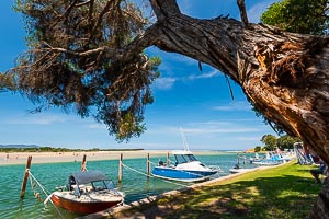Picture of Mallacoota, Gippsland, Victoria, Australia