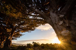 Picture of Apollo Bay, Great Ocean Road National Park, Victoria, Australia