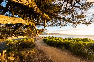 Picture of Apollo Bay, Great Ocean Road National Park, Victoria, Australia