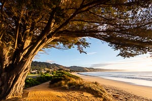 Picture of Apollo Bay, Great Ocean Road National Park, Victoria, Australia