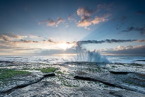 Picture of Terrigal, Central Coast, New South Wales, Australia