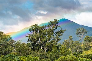 Picture of Barrington Tops National Park, Barrington Coast, New South Wales, Australia