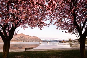 Picture of Lake Wanaka, Otago, South Island, New Zealand