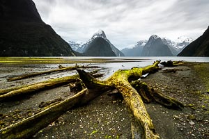 Picture of Milford Sound, Southland, South Island, New Zealand