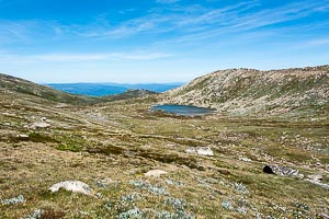 Picture of Kosciuszko National Park, Snowy Mountains, New South Wales, Australia
