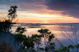 Picture of Marlo, Gippsland, Victoria, Australia