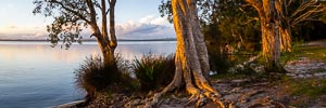 Picture of Myall Lakes National Park, Barrington Coast, New South Wales, Australia