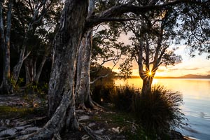 Picture of Myall Lakes National Park, Barrington Coast, New South Wales, Australia