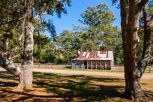 Picture of Howqua Hills, The High Country, Victoria, Australia