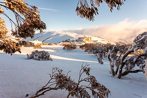 Picture of Alpine National Park, The High Country, Victoria, Australia