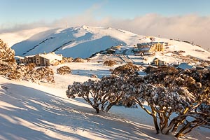 Picture of Alpine National Park, The High Country, Victoria, Australia
