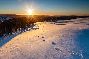 Picture of Alpine National Park, The High Country, Victoria, Australia