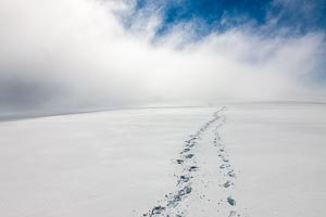 Picture of Kosciuszko National Park, Snowy Mountains, New South Wales, Australia